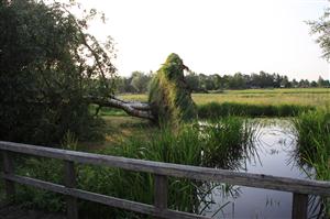 IMG_4643noodweer