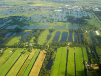 NieuwkoopsePlassen